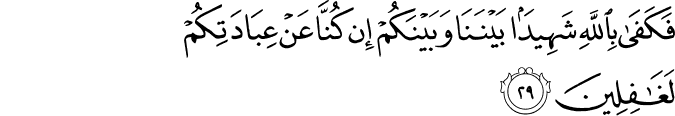 فَكَفَىٰ بِاللَّهِ شَهِيدًا بَيْنَنَا وَبَيْنَكُمْ إِن كُنَّا عَنْ عِبَادَتِكُمْ لَغَافِلِينَ