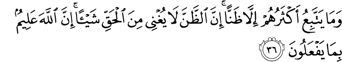 وَمَا يَتَّبِعُ أَكْثَرُهُمْ إِلَّا ظَنًّا ۚ إِنَّ الظَّنَّ لَا يُغْنِي مِنَ الْحَقِّ شَيْئًا ۚ إِنَّ اللَّهَ عَلِيمٌ بِمَا يَفْعَلُونَ