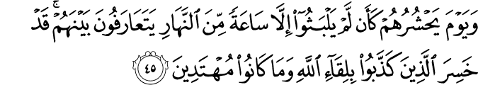 وَيَوْمَ يَحْشُرُهُمْ كَأَن لَّمْ يَلْبَثُوا إِلَّا سَاعَةً مِّنَ النَّهَارِ يَتَعَارَفُونَ بَيْنَهُمْ ۚ قَدْ خَسِرَ الَّذِينَ كَذَّبُوا بِلِقَاءِ اللَّهِ وَمَا كَانُوا مُهْتَدِينَ
