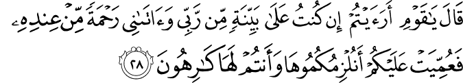 قَالَ يَا قَوْمِ أَرَأَيْتُمْ إِن كُنتُ عَلَىٰ بَيِّنَةٍ مِّن رَّبِّي وَآتَانِي رَحْمَةً مِّنْ عِندِهِ فَعُمِّيَتْ عَلَيْكُمْ أَنُلْزِمُكُمُوهَا وَأَنتُمْ لَهَا كَارِهُونَ
