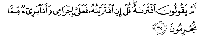 أَمْ يَقُولُونَ افْتَرَاهُ ۖ قُلْ إِنِ افْتَرَيْتُهُ فَعَلَيَّ إِجْرَامِي وَأَنَا بَرِيءٌ مِّمَّا تُجْرِمُونَ