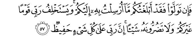 فَإِن تَوَلَّوْا فَقَدْ أَبْلَغْتُكُم مَّا أُرْسِلْتُ بِهِ إِلَيْكُمْ ۚ وَيَسْتَخْلِفُ رَبِّي قَوْمًا غَيْرَكُمْ وَلَا تَضُرُّونَهُ شَيْئًا ۚ إِنَّ رَبِّي عَلَىٰ كُلِّ شَيْءٍ حَفِيظٌ