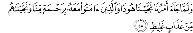 وَلَمَّا جَاءَ أَمْرُنَا نَجَّيْنَا هُودًا وَالَّذِينَ آمَنُوا مَعَهُ بِرَحْمَةٍ مِّنَّا وَنَجَّيْنَاهُم مِّنْ عَذَابٍ غَلِيظٍ
