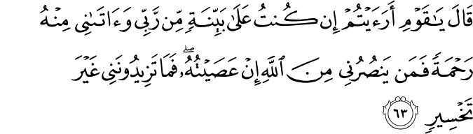 قَالَ يَا قَوْمِ أَرَأَيْتُمْ إِن كُنتُ عَلَىٰ بَيِّنَةٍ مِّن رَّبِّي وَآتَانِي مِنْهُ رَحْمَةً فَمَن يَنصُرُنِي مِنَ اللَّهِ إِنْ عَصَيْتُهُ ۖ فَمَا تَزِيدُونَنِي غَيْرَ تَخْسِيرٍ