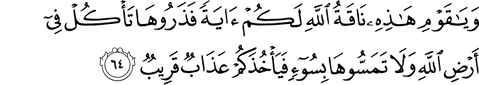 وَيَا قَوْمِ هَـٰذِهِ نَاقَةُ اللَّهِ لَكُمْ آيَةً فَذَرُوهَا تَأْكُلْ فِي أَرْضِ اللَّهِ وَلَا تَمَسُّوهَا بِسُوءٍ فَيَأْخُذَكُمْ عَذَابٌ قَرِيبٌ