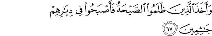 وَأَخَذَ الَّذِينَ ظَلَمُوا الصَّيْحَةُ فَأَصْبَحُوا فِي دِيَارِهِمْ جَاثِمِينَ