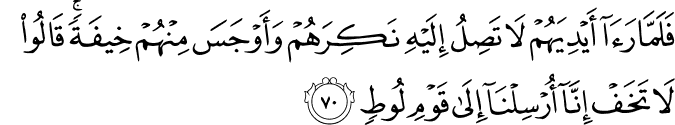 فَلَمَّا رَأَىٰ أَيْدِيَهُمْ لَا تَصِلُ إِلَيْهِ نَكِرَهُمْ وَأَوْجَسَ مِنْهُمْ خِيفَةً ۚ قَالُوا لَا تَخَفْ إِنَّا أُرْسِلْنَا إِلَىٰ قَوْمِ لُوطٍ