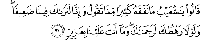 قَالُوا يَا شُعَيْبُ مَا نَفْقَهُ كَثِيرًا مِّمَّا تَقُولُ وَإِنَّا لَنَرَاكَ فِينَا ضَعِيفًا ۖ وَلَوْلَا رَهْطُكَ لَرَجَمْنَاكَ ۖ وَمَا أَنتَ عَلَيْنَا بِعَزِيزٍ