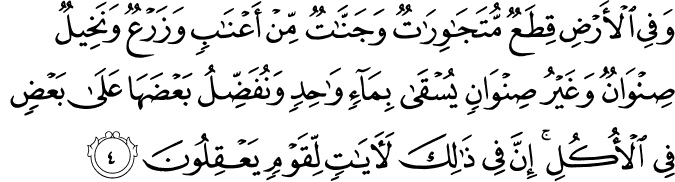 وَفِي الْأَرْضِ قِطَعٌ مُّتَجَاوِرَاتٌ وَجَنَّاتٌ مِّنْ أَعْنَابٍ وَزَرْعٌ وَنَخِيلٌ صِنْوَانٌ وَغَيْرُ صِنْوَانٍ يُسْقَىٰ بِمَاءٍ وَاحِدٍ وَنُفَضِّلُ بَعْضَهَا عَلَىٰ بَعْضٍ فِي الْأُكُلِ ۚ إِنَّ فِي ذَٰلِكَ لَآيَاتٍ لِّقَوْمٍ يَعْقِلُونَ
