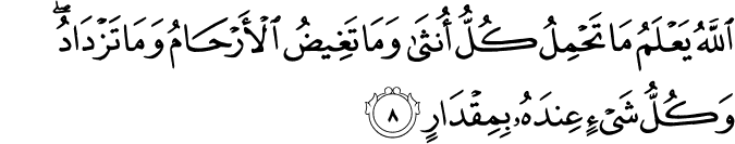 اللَّهُ يَعْلَمُ مَا تَحْمِلُ كُلُّ أُنثَىٰ وَمَا تَغِيضُ الْأَرْحَامُ وَمَا تَزْدَادُ ۖ وَكُلُّ شَيْءٍ عِندَهُ بِمِقْدَارٍ