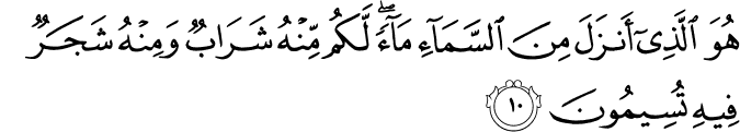 هُوَ الَّذِي أَنزَلَ مِنَ السَّمَاءِ مَاءً ۖ لَّكُم مِّنْهُ شَرَابٌ وَمِنْهُ شَجَرٌ فِيهِ تُسِيمُونَ