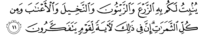 يُنبِتُ لَكُم بِهِ الزَّرْعَ وَالزَّيْتُونَ وَالنَّخِيلَ وَالْأَعْنَابَ وَمِن كُلِّ الثَّمَرَاتِ ۗ إِنَّ فِي ذَٰلِكَ لَآيَةً لِّقَوْمٍ يَتَفَكَّرُونَ
