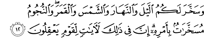 وَسَخَّرَ لَكُمُ اللَّيْلَ وَالنَّهَارَ وَالشَّمْسَ وَالْقَمَرَ ۖ وَالنُّجُومُ مُسَخَّرَاتٌ بِأَمْرِهِ ۗ إِنَّ فِي ذَٰلِكَ لَآيَاتٍ لِّقَوْمٍ يَعْقِلُونَ