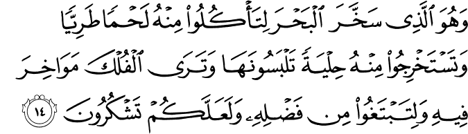 وَهُوَ الَّذِي سَخَّرَ الْبَحْرَ لِتَأْكُلُوا مِنْهُ لَحْمًا طَرِيًّا وَتَسْتَخْرِجُوا مِنْهُ حِلْيَةً تَلْبَسُونَهَا وَتَرَى الْفُلْكَ مَوَاخِرَ فِيهِ وَلِتَبْتَغُوا مِن فَضْلِهِ وَلَعَلَّكُمْ تَشْكُرُونَ
