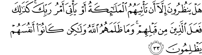 هَلْ يَنظُرُونَ إِلَّا أَن تَأْتِيَهُمُ الْمَلَائِكَةُ أَوْ يَأْتِيَ أَمْرُ رَبِّكَ ۚ كَذَٰلِكَ فَعَلَ الَّذِينَ مِن قَبْلِهِمْ ۚ وَمَا ظَلَمَهُمُ اللَّهُ وَلَـٰكِن كَانُوا أَنفُسَهُمْ يَظْلِمُونَ