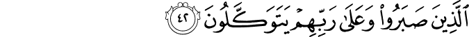 الَّذِينَ صَبَرُوا وَعَلَىٰ رَبِّهِمْ يَتَوَكَّلُونَ