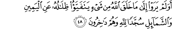 أَوَلَمْ يَرَوْا إِلَىٰ مَا خَلَقَ اللَّهُ مِن شَيْءٍ يَتَفَيَّأُ ظِلَالُهُ عَنِ الْيَمِينِ وَالشَّمَائِلِ سُجَّدًا لِّلَّهِ وَهُمْ دَاخِرُونَ