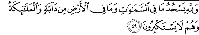 وَلِلَّهِ يَسْجُدُ مَا فِي السَّمَاوَاتِ وَمَا فِي الْأَرْضِ مِن دَابَّةٍ وَالْمَلَائِكَةُ وَهُمْ لَا يَسْتَكْبِرُونَ
