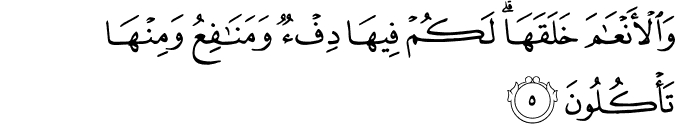 وَالْأَنْعَامَ خَلَقَهَا ۗ لَكُمْ فِيهَا دِفْءٌ وَمَنَافِعُ وَمِنْهَا تَأْكُلُونَ