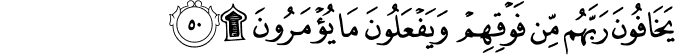 يَخَافُونَ رَبَّهُم مِّن فَوْقِهِمْ وَيَفْعَلُونَ مَا يُؤْمَرُونَ ۩