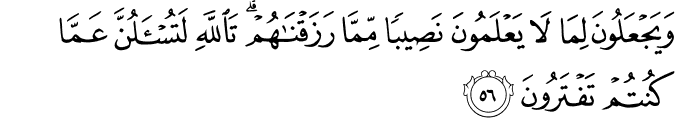 وَيَجْعَلُونَ لِمَا لَا يَعْلَمُونَ نَصِيبًا مِّمَّا رَزَقْنَاهُمْ ۗ تَاللَّهِ لَتُسْأَلُنَّ عَمَّا كُنتُمْ تَفْتَرُونَ