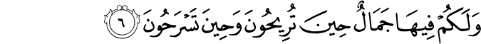 وَلَكُمْ فِيهَا جَمَالٌ حِينَ تُرِيحُونَ وَحِينَ تَسْرَحُونَ