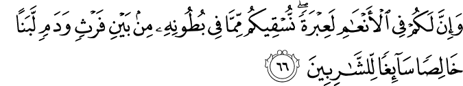 وَإِنَّ لَكُمْ فِي الْأَنْعَامِ لَعِبْرَةً ۖ نُّسْقِيكُم مِّمَّا فِي بُطُونِهِ مِن بَيْنِ فَرْثٍ وَدَمٍ لَّبَنًا خَالِصًا سَائِغًا لِّلشَّارِبِينَ