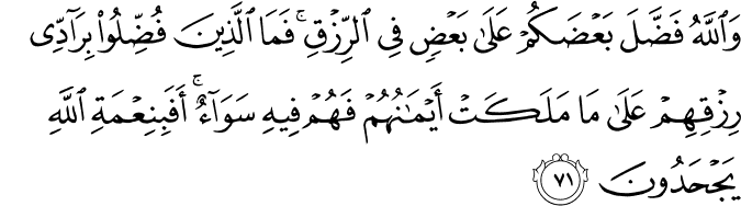 وَاللَّهُ فَضَّلَ بَعْضَكُمْ عَلَىٰ بَعْضٍ فِي الرِّزْقِ ۚ فَمَا الَّذِينَ فُضِّلُوا بِرَادِّي رِزْقِهِمْ عَلَىٰ مَا مَلَكَتْ أَيْمَانُهُمْ فَهُمْ فِيهِ سَوَاءٌ ۚ أَفَبِنِعْمَةِ اللَّهِ يَجْحَدُونَ