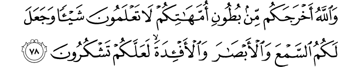 وَاللَّهُ أَخْرَجَكُم مِّن بُطُونِ أُمَّهَاتِكُمْ لَا تَعْلَمُونَ شَيْئًا وَجَعَلَ لَكُمُ السَّمْعَ وَالْأَبْصَارَ وَالْأَفْئِدَةَ ۙ لَعَلَّكُمْ تَشْكُرُونَ