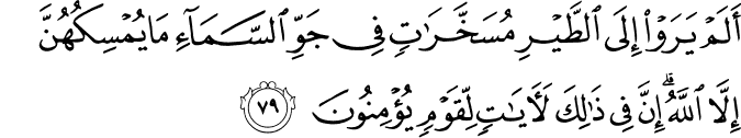أَلَمْ يَرَوْا إِلَى الطَّيْرِ مُسَخَّرَاتٍ فِي جَوِّ السَّمَاءِ مَا يُمْسِكُهُنَّ إِلَّا اللَّهُ ۗ إِنَّ فِي ذَٰلِكَ لَآيَاتٍ لِّقَوْمٍ يُؤْمِنُونَ