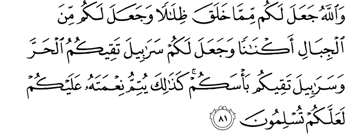 وَاللَّهُ جَعَلَ لَكُم مِّمَّا خَلَقَ ظِلَالًا وَجَعَلَ لَكُم مِّنَ الْجِبَالِ أَكْنَانًا وَجَعَلَ لَكُمْ سَرَابِيلَ تَقِيكُمُ الْحَرَّ وَسَرَابِيلَ تَقِيكُم بَأْسَكُمْ ۚ كَذَٰلِكَ يُتِمُّ نِعْمَتَهُ عَلَيْكُمْ لَعَلَّكُمْ تُسْلِمُونَ