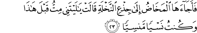 فَأَجَاءَهَا الْمَخَاضُ إِلَىٰ جِذْعِ النَّخْلَةِ قَالَتْ يَا لَيْتَنِي مِتُّ قَبْلَ هَـٰذَا وَكُنتُ نَسْيًا مَّنسِيًّا