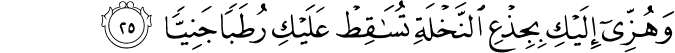 وَهُزِّي إِلَيْكِ بِجِذْعِ النَّخْلَةِ تُسَاقِطْ عَلَيْكِ رُطَبًا جَنِيًّا