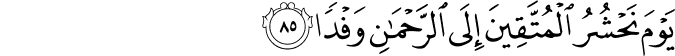 يَوْمَ نَحْشُرُ الْمُتَّقِينَ إِلَى الرَّحْمَـٰنِ وَفْدًا