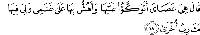 قَالَ هِيَ عَصَايَ أَتَوَكَّأُ عَلَيْهَا وَأَهُشُّ بِهَا عَلَىٰ غَنَمِي وَلِيَ فِيهَا مَآرِبُ أُخْرَىٰ