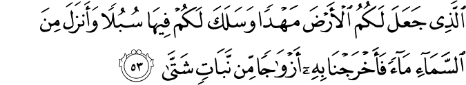 الَّذِي جَعَلَ لَكُمُ الْأَرْضَ مَهْدًا وَسَلَكَ لَكُمْ فِيهَا سُبُلًا وَأَنزَلَ مِنَ السَّمَاءِ مَاءً فَأَخْرَجْنَا بِهِ أَزْوَاجًا مِّن نَّبَاتٍ شَتَّىٰ