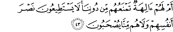 أَمْ لَهُمْ آلِهَةٌ تَمْنَعُهُم مِّن دُونِنَا ۚ لَا يَسْتَطِيعُونَ نَصْرَ أَنفُسِهِمْ وَلَا هُم مِّنَّا يُصْحَبُونَ