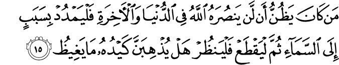 مَن كَانَ يَظُنُّ أَن لَّن يَنصُرَهُ اللَّهُ فِي الدُّنْيَا وَالْآخِرَةِ فَلْيَمْدُدْ بِسَبَبٍ إِلَى السَّمَاءِ ثُمَّ لْيَقْطَعْ فَلْيَنظُرْ هَلْ يُذْهِبَنَّ كَيْدُهُ مَا يَغِيظُ