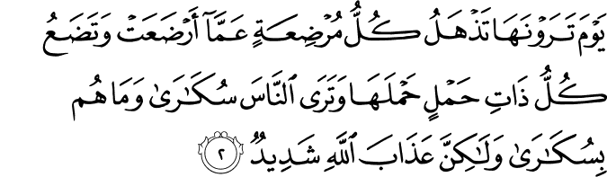 يَوْمَ تَرَوْنَهَا تَذْهَلُ كُلُّ مُرْضِعَةٍ عَمَّا أَرْضَعَتْ وَتَضَعُ كُلُّ ذَاتِ حَمْلٍ حَمْلَهَا وَتَرَى النَّاسَ سُكَارَىٰ وَمَا هُم بِسُكَارَىٰ وَلَـٰكِنَّ عَذَابَ اللَّهِ شَدِيدٌ