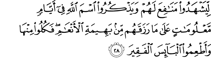 لِّيَشْهَدُوا مَنَافِعَ لَهُمْ وَيَذْكُرُوا اسْمَ اللَّهِ فِي أَيَّامٍ مَّعْلُومَاتٍ عَلَىٰ مَا رَزَقَهُم مِّن بَهِيمَةِ الْأَنْعَامِ ۖ فَكُلُوا مِنْهَا وَأَطْعِمُوا الْبَائِسَ الْفَقِيرَ