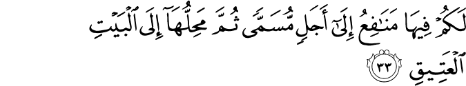 لَكُمْ فِيهَا مَنَافِعُ إِلَىٰ أَجَلٍ مُّسَمًّى ثُمَّ مَحِلُّهَا إِلَى الْبَيْتِ الْعَتِيقِ