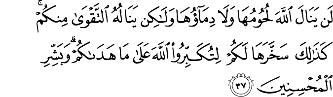 لَن يَنَالَ اللَّهَ لُحُومُهَا وَلَا دِمَاؤُهَا وَلَـٰكِن يَنَالُهُ التَّقْوَىٰ مِنكُمْ ۚ كَذَٰلِكَ سَخَّرَهَا لَكُمْ لِتُكَبِّرُوا اللَّهَ عَلَىٰ مَا هَدَاكُمْ ۗ وَبَشِّرِ الْمُحْسِنِينَ