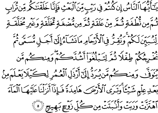 يَا أَيُّهَا النَّاسُ إِن كُنتُمْ فِي رَيْبٍ مِّنَ الْبَعْثِ فَإِنَّا خَلَقْنَاكُم مِّن تُرَابٍ ثُمَّ مِن نُّطْفَةٍ ثُمَّ مِنْ عَلَقَةٍ ثُمَّ مِن مُّضْغَةٍ مُّخَلَّقَةٍ وَغَيْرِ مُخَلَّقَةٍ لِّنُبَيِّنَ لَكُمْ ۚ وَنُقِرُّ فِي الْأَرْحَامِ مَا نَشَاءُ إِلَىٰ أَجَلٍ مُّسَمًّى ثُمَّ نُخْرِجُكُمْ طِفْلًا ثُمَّ لِتَبْلُغُوا أَشُدَّكُمْ ۖ وَمِنكُم مَّن يُتَوَفَّىٰ وَمِنكُم مَّن يُرَدُّ إِلَىٰ أَرْذَلِ الْعُمُرِ لِكَيْلَا يَعْلَمَ مِن بَعْدِ عِلْمٍ شَيْئًا ۚ وَتَرَى الْأَرْضَ هَامِدَةً فَإِذَا أَنزَلْنَا عَلَيْهَا الْمَاءَ اهْتَزَّتْ وَرَبَتْ وَأَنبَتَتْ مِن كُلِّ زَوْجٍ بَهِيجٍ