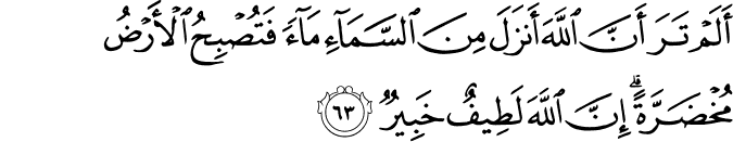 أَلَمْ تَرَ أَنَّ اللَّهَ أَنزَلَ مِنَ السَّمَاءِ مَاءً فَتُصْبِحُ الْأَرْضُ مُخْضَرَّةً ۗ إِنَّ اللَّهَ لَطِيفٌ خَبِيرٌ