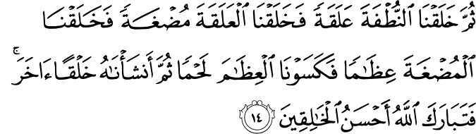 ثُمَّ خَلَقْنَا النُّطْفَةَ عَلَقَةً فَخَلَقْنَا الْعَلَقَةَ مُضْغَةً فَخَلَقْنَا الْمُضْغَةَ عِظَامًا فَكَسَوْنَا الْعِظَامَ لَحْمًا ثُمَّ أَنشَأْنَاهُ خَلْقًا آخَرَ ۚ فَتَبَارَكَ اللَّهُ أَحْسَنُ الْخَالِقِينَ