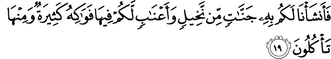 فَأَنشَأْنَا لَكُم بِهِ جَنَّاتٍ مِّن نَّخِيلٍ وَأَعْنَابٍ لَّكُمْ فِيهَا فَوَاكِهُ كَثِيرَةٌ وَمِنْهَا تَأْكُلُونَ