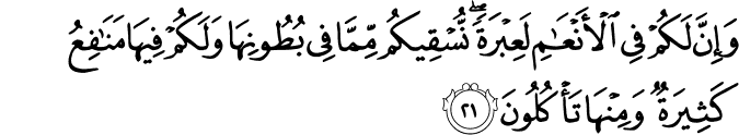 وَإِنَّ لَكُمْ فِي الْأَنْعَامِ لَعِبْرَةً ۖ نُّسْقِيكُم مِّمَّا فِي بُطُونِهَا وَلَكُمْ فِيهَا مَنَافِعُ كَثِيرَةٌ وَمِنْهَا تَأْكُلُونَ