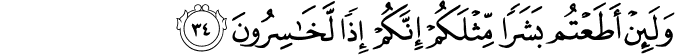 وَلَئِنْ أَطَعْتُم بَشَرًا مِّثْلَكُمْ إِنَّكُمْ إِذًا لَّخَاسِرُونَ