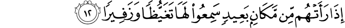 إِذَا رَأَتْهُم مِّن مَّكَانٍ بَعِيدٍ سَمِعُوا لَهَا تَغَيُّظًا وَزَفِيرًا