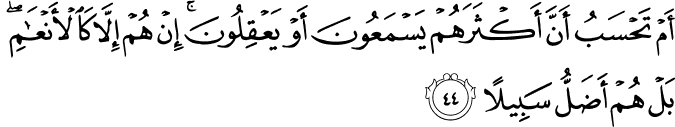 أَمْ تَحْسَبُ أَنَّ أَكْثَرَهُمْ يَسْمَعُونَ أَوْ يَعْقِلُونَ ۚ إِنْ هُمْ إِلَّا كَالْأَنْعَامِ ۖ بَلْ هُمْ أَضَلُّ سَبِيلًا
